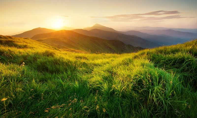 Who’s in the Ring? Qbet Casino UK vs. The Rest - overview Who’s in the Ring? Qbet Casino UK vs. The Rest - overview
